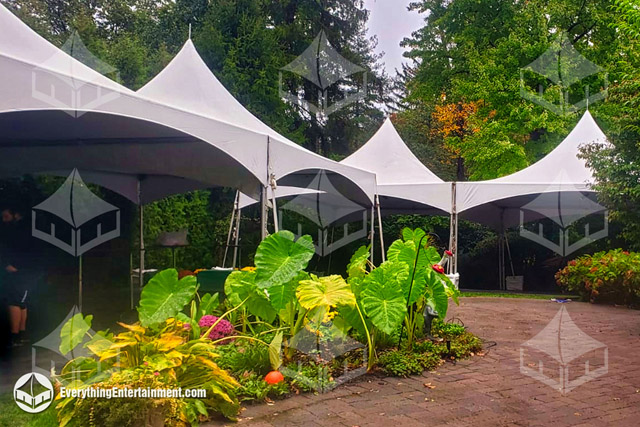 Multiple high peak tents in a backyard with lots of greenery around.